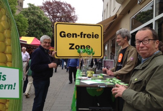 Felix Gorris, Christian Otto und Hermann Pöhling am Infostand gegen Gen-Mais. Foto: Susanne Stoks