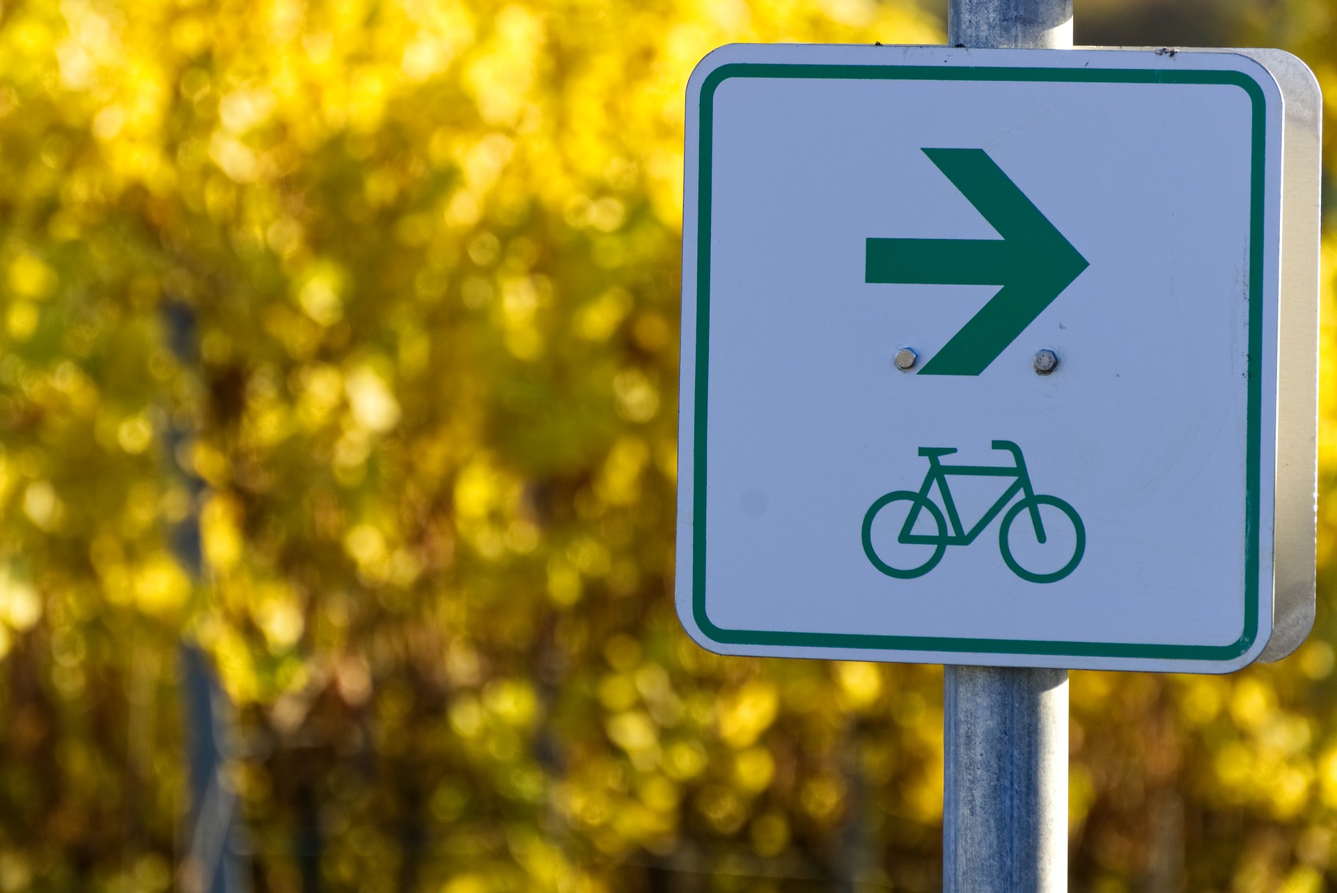 Grüne blicken positiv auf Zukunft des Radverkehrs im Kreis Mettmann