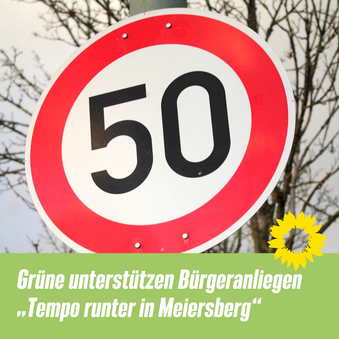 Grüne unterstützen Bürgeranliegen „Tempo runter in Meiersberg“