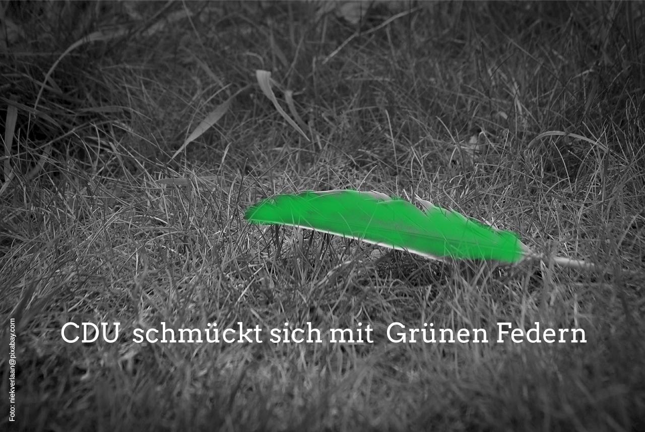 DIE GRÜNEN in Ratingen: Beim Umweltbildungszentrum schmückt sich die CDU mit grünen Federn
