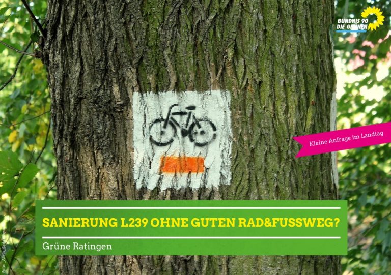 Kleine Anfrage – hier Sanierung der L 239